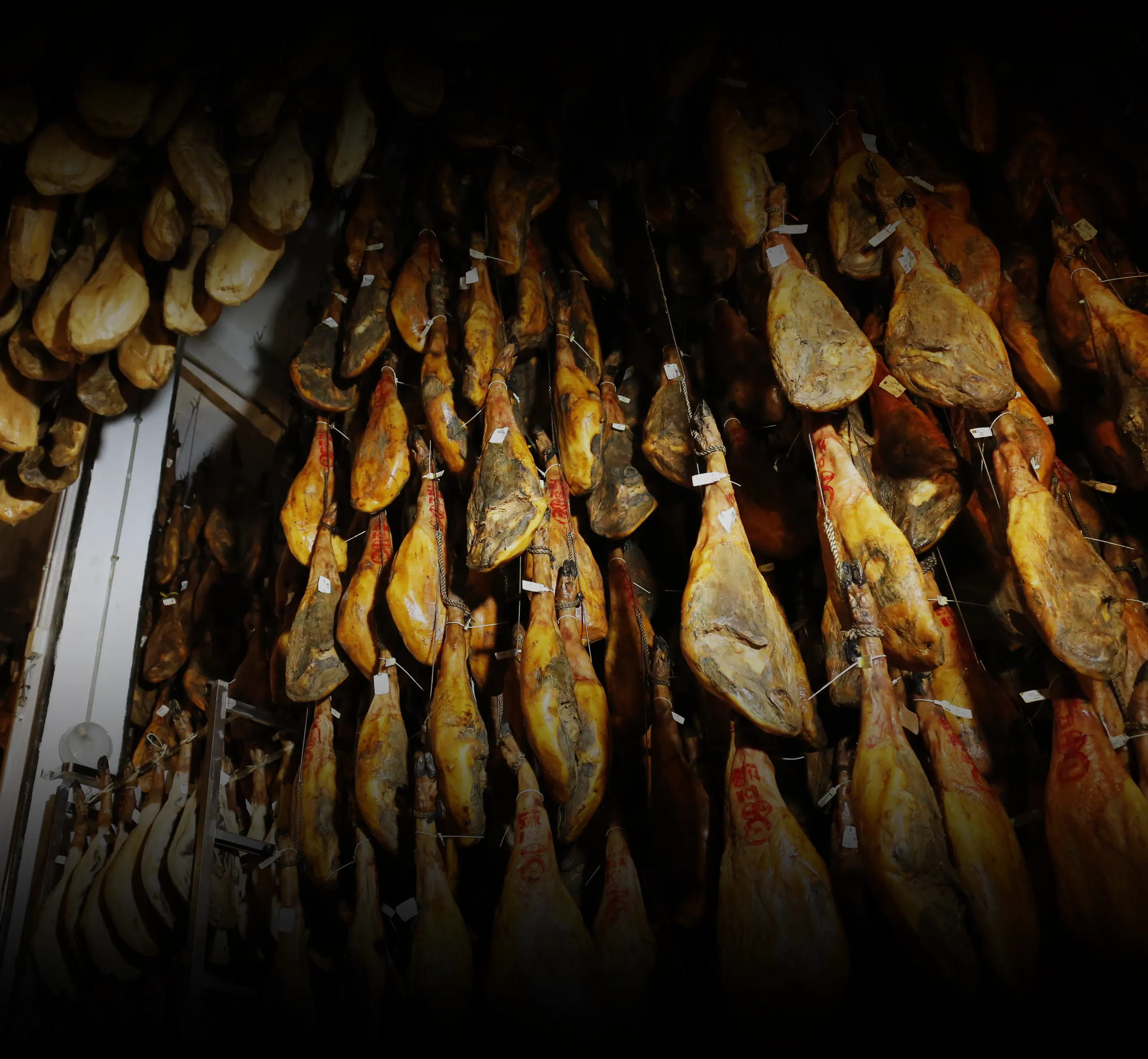 fermin iberico drying and maturation